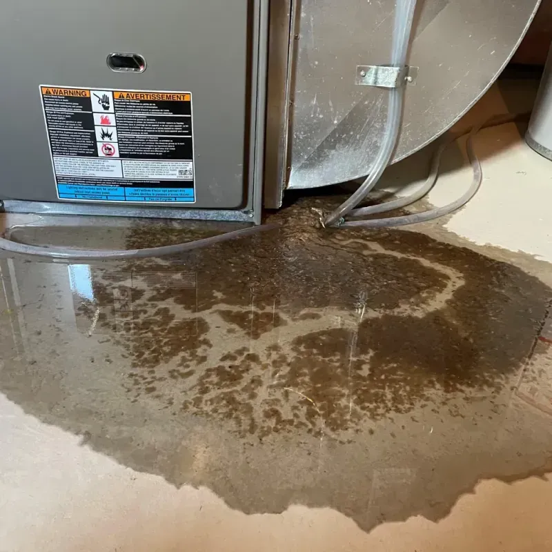 Appliance Leak Cleanup in Meade County, KY